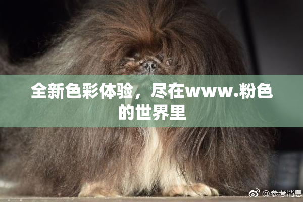 全新色彩体验，尽在www.粉色的世界里