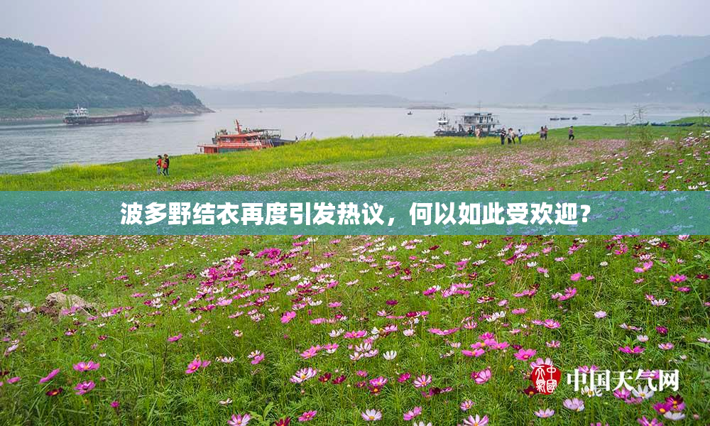 波多野结衣再度引发热议，何以如此受欢迎？