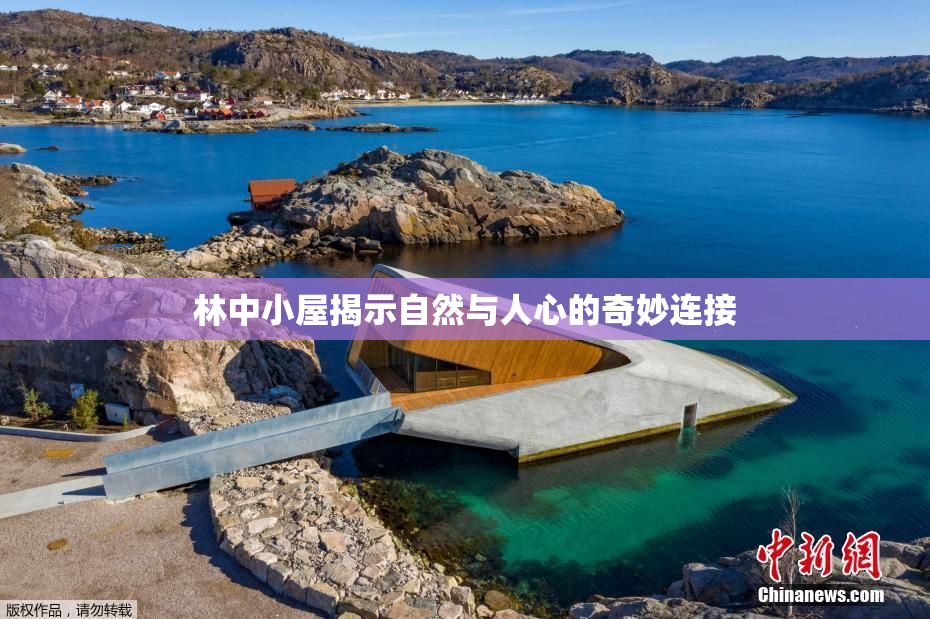 林中小屋揭示自然与人心的奇妙连接