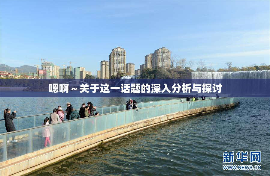 嗯啊～关于这一话题的深入分析与探讨