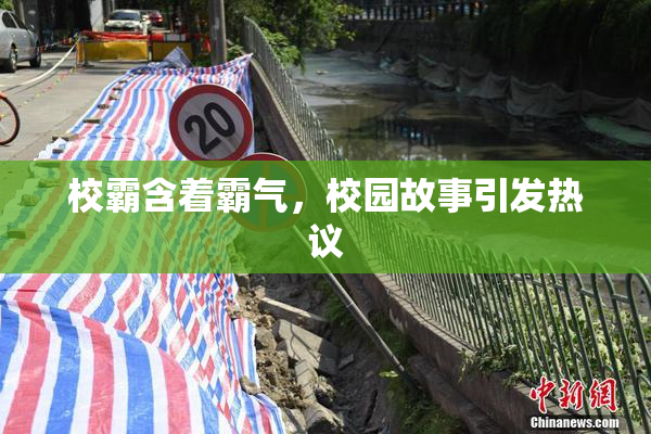 校霸含着霸气，校园故事引发热议