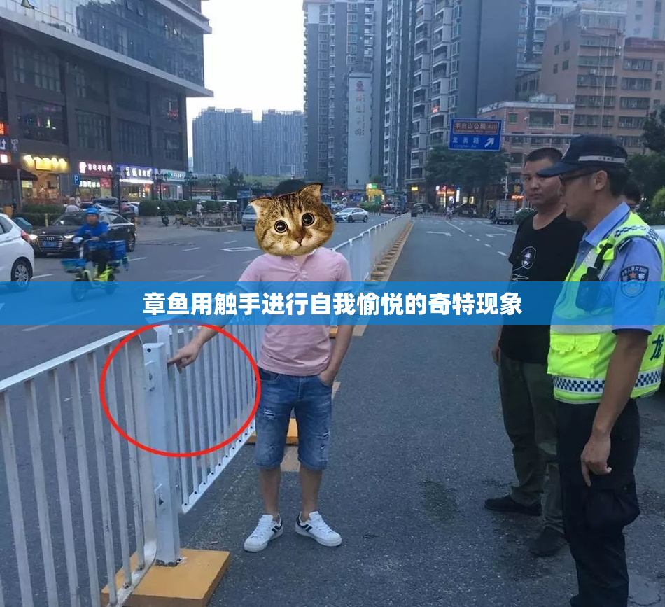 章鱼用触手进行自我愉悦的奇特现象