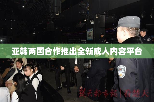 亚韩两国合作推出全新成人内容平台