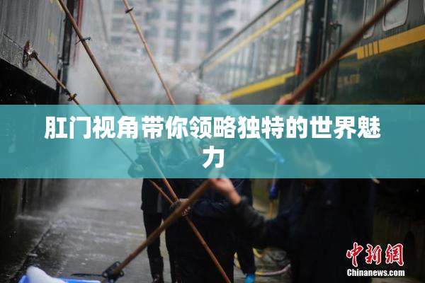 肛门视角带你领略独特的世界魅力