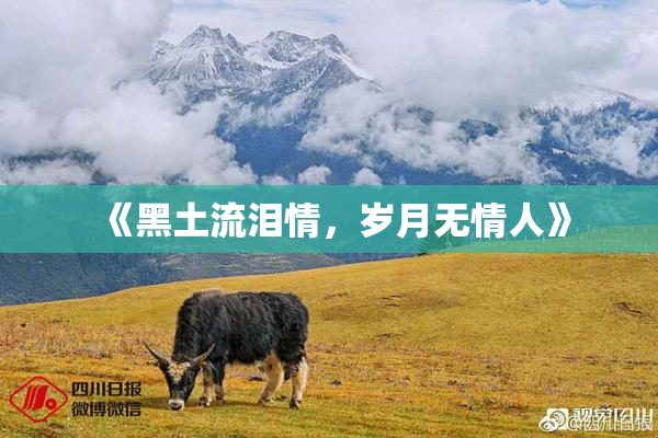 《黑土流泪情，岁月无情人》