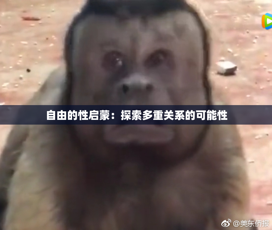 自由的性启蒙：探索多重关系的可能性