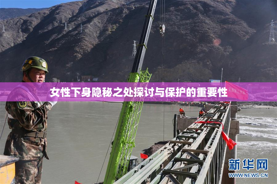 女性下身隐秘之处探讨与保护的重要性