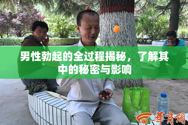 男性勃起的全过程揭秘，了解其中的秘密与影响