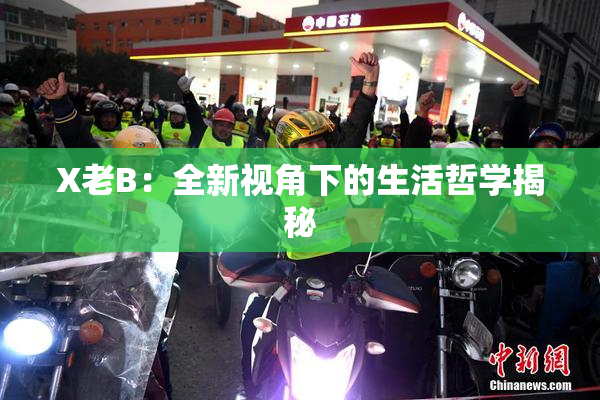 X老B：全新视角下的生活哲学揭秘