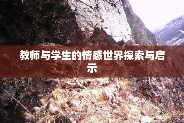 教师与学生的情感世界探索与启示