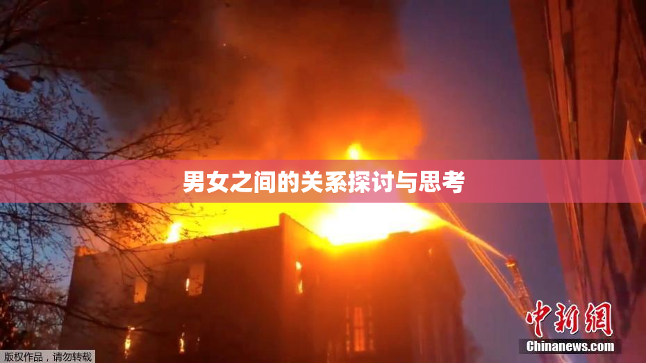 男女之间的关系探讨与思考