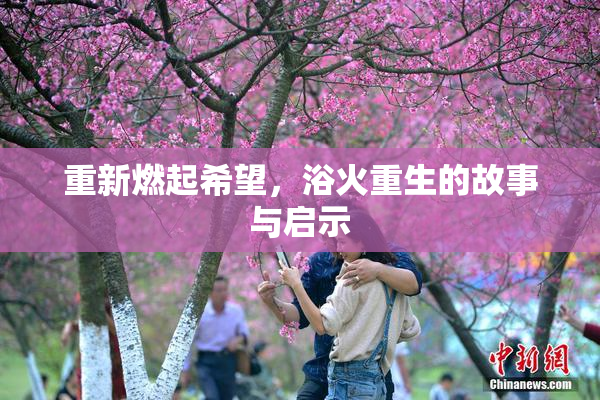 重新燃起希望，浴火重生的故事与启示