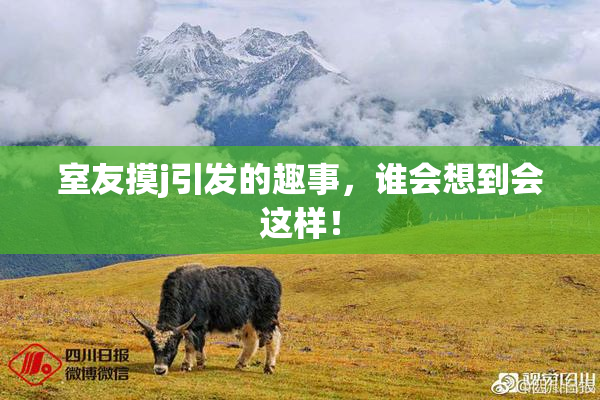 室友摸j引发的趣事，谁会想到会这样！