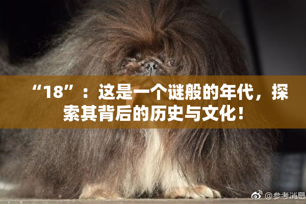 “18”：这是一个谜般的年代，探索其背后的历史与文化！