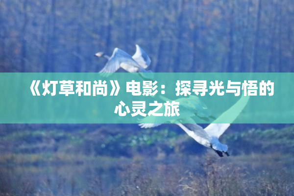 《灯草和尚》电影：探寻光与悟的心灵之旅