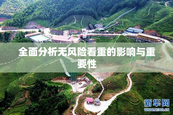 全面分析无风险看重的影响与重要性