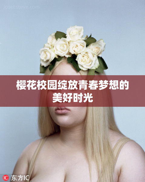 樱花校园绽放青春梦想的美好时光