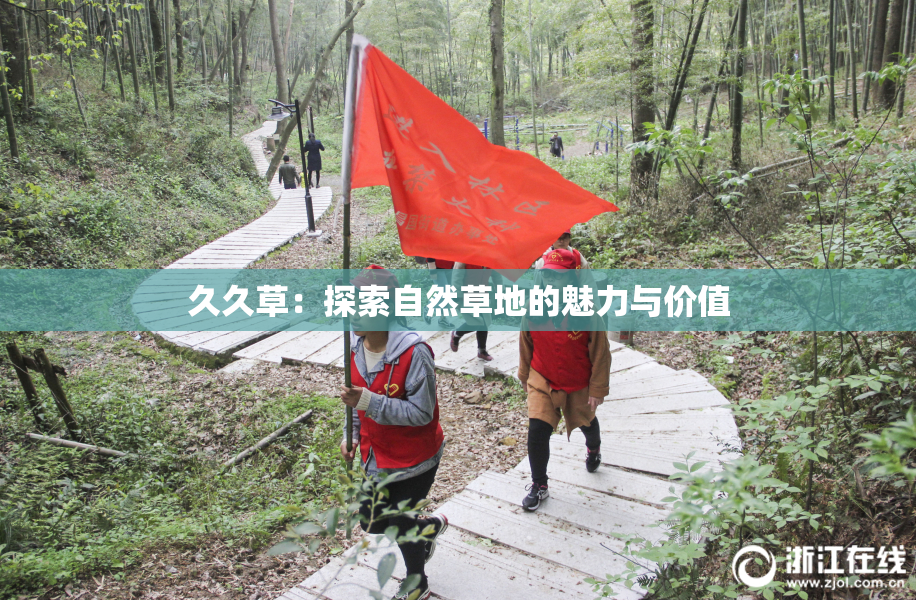久久草：探索自然草地的魅力与价值