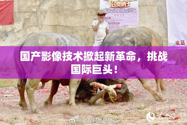 国产影像技术掀起新革命，挑战国际巨头！