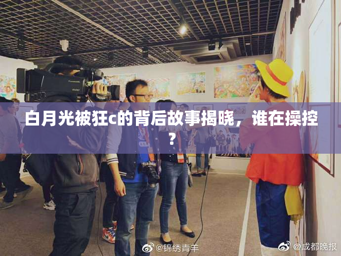 白月光被狂c的背后故事揭晓，谁在操控？