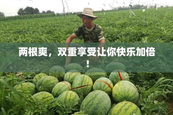 两根爽，双重享受让你快乐加倍！
