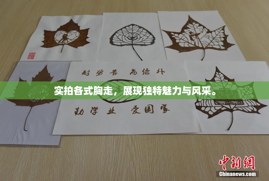 实拍各式胸走，展现独特魅力与风采。