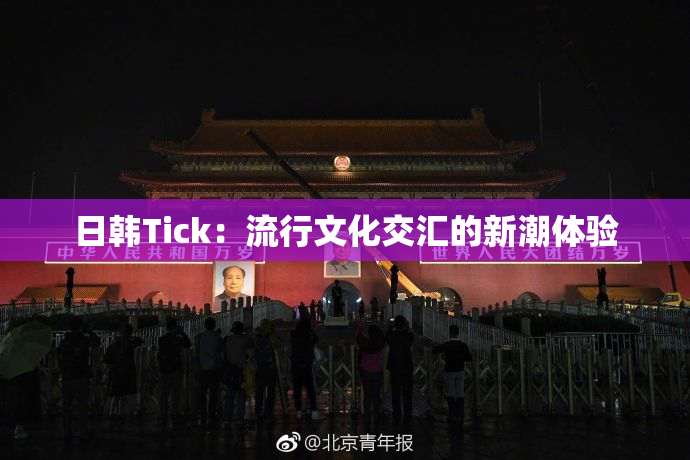 日韩Tick：流行文化交汇的新潮体验