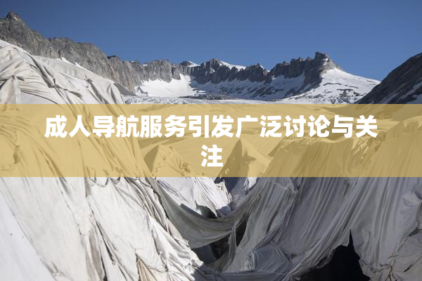 成人导航服务引发广泛讨论与关注