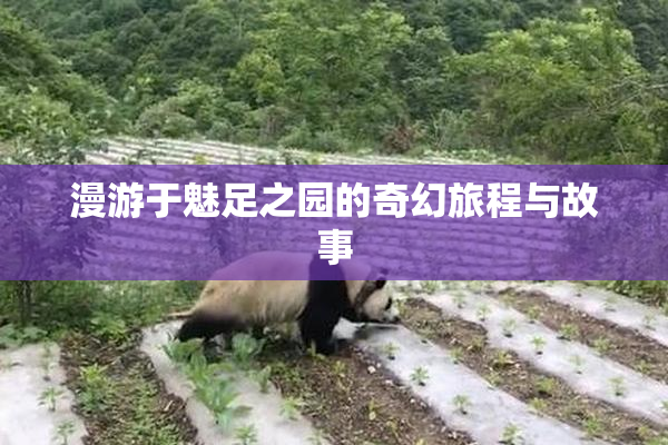 漫游于魅足之园的奇幻旅程与故事