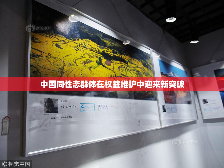 中国同性恋群体在权益维护中迎来新突破