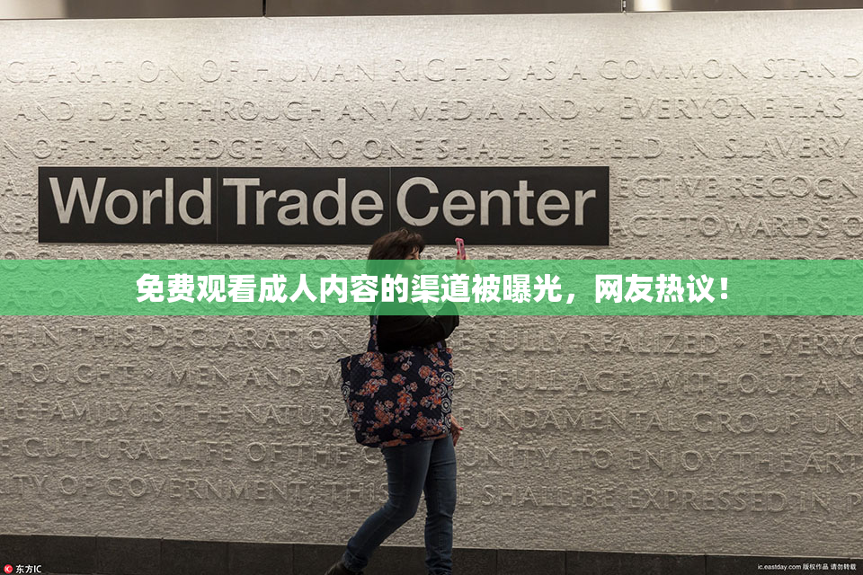 免费观看成人内容的渠道被曝光，网友热议！