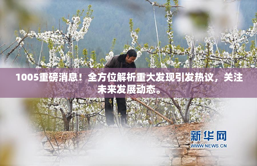 1005重磅消息！全方位解析重大发现引发热议，关注未来发展动态。