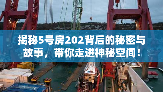揭秘5号房202背后的秘密与故事，带你走进神秘空间！
