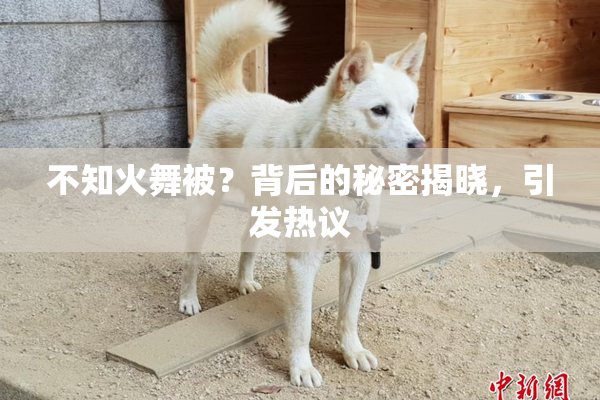 不知火舞被？背后的秘密揭晓，引发热议