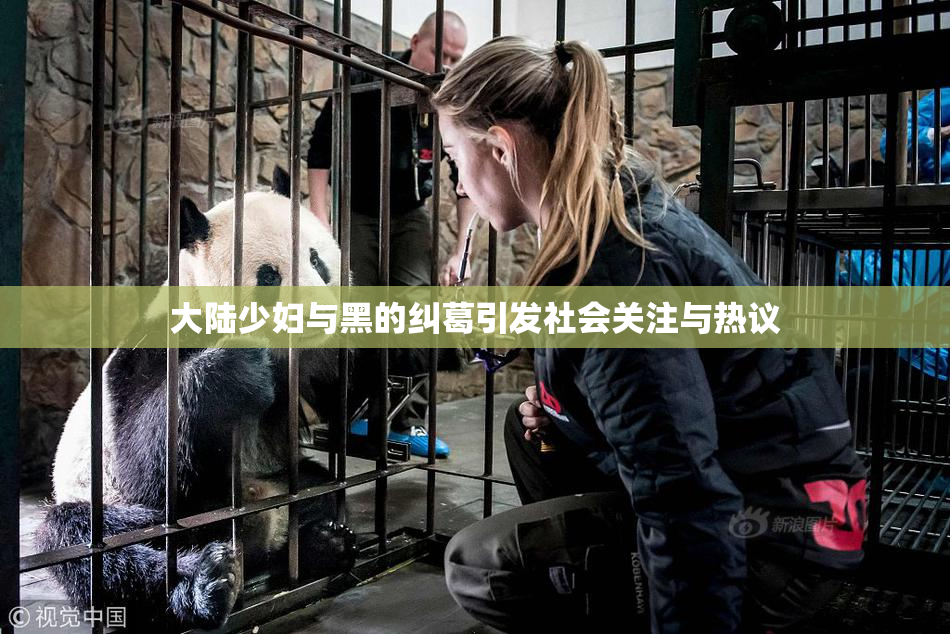 大陆少妇与黑的纠葛引发社会关注与热议