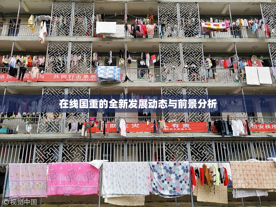 在线国重的全新发展动态与前景分析