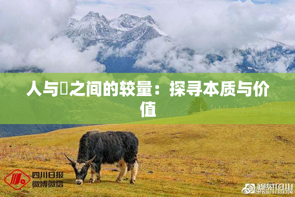 人与嘼之间的较量：探寻本质与价值