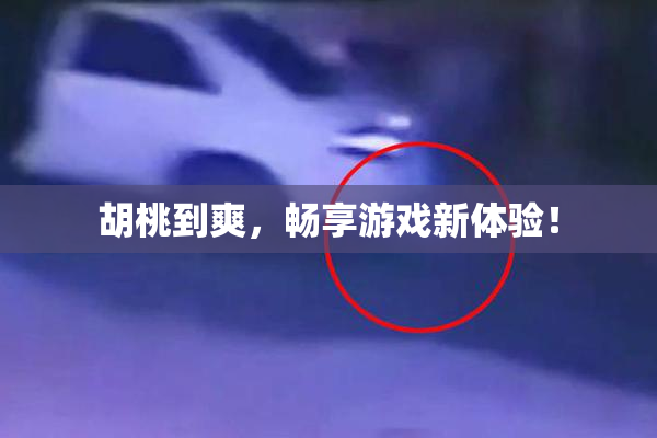 胡桃到爽，畅享游戏新体验！