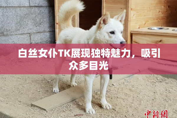 白丝女仆TK展现独特魅力，吸引众多目光