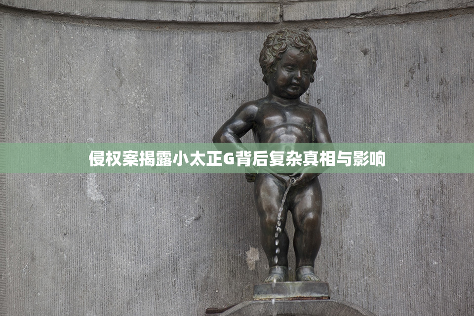侵权案揭露小太正G背后复杂真相与影响