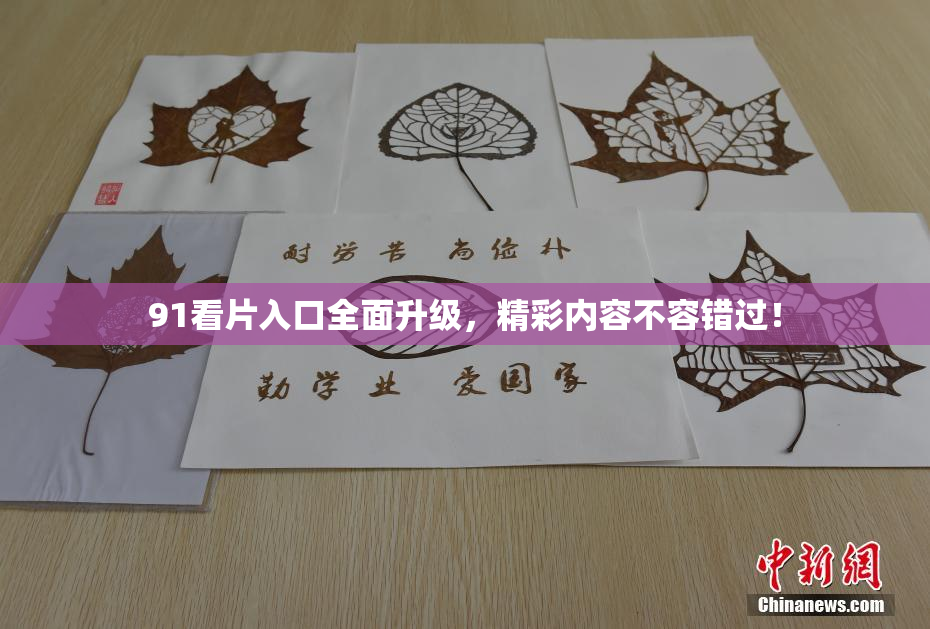 91看片入口全面升级，精彩内容不容错过！