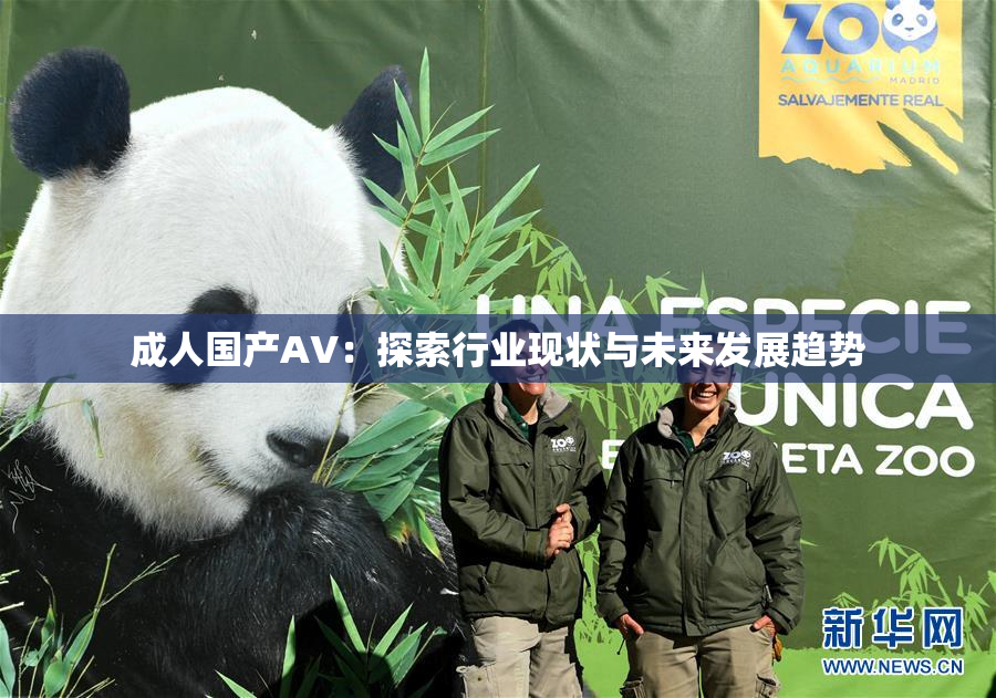 成人国产AV：探索行业现状与未来发展趋势