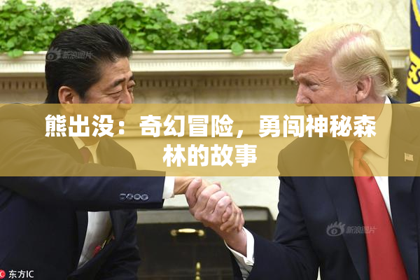熊出没：奇幻冒险，勇闯神秘森林的故事