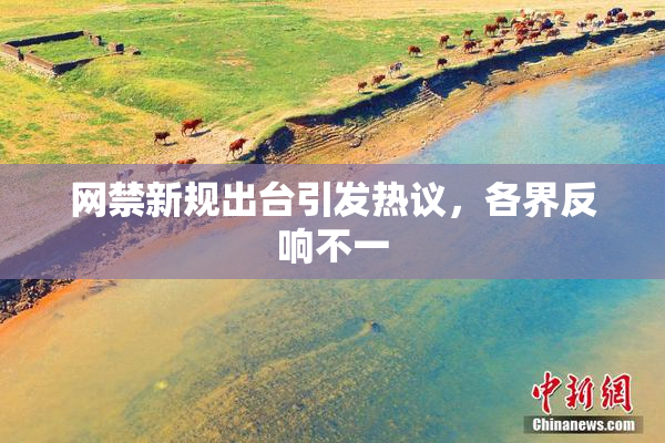 网禁新规出台引发热议，各界反响不一