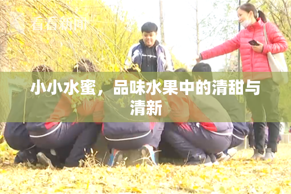 小小水蜜，品味水果中的清甜与清新
