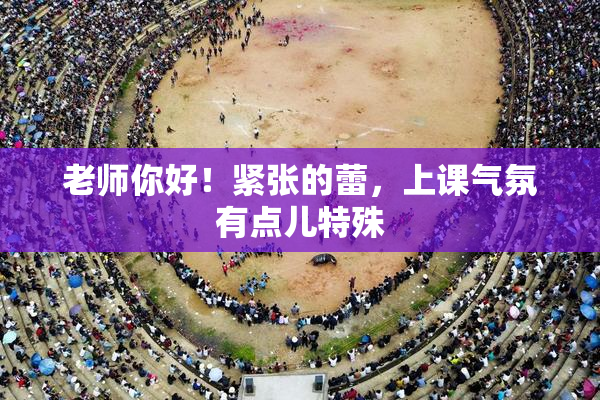 老师你好！紧张的蕾，上课气氛有点儿特殊