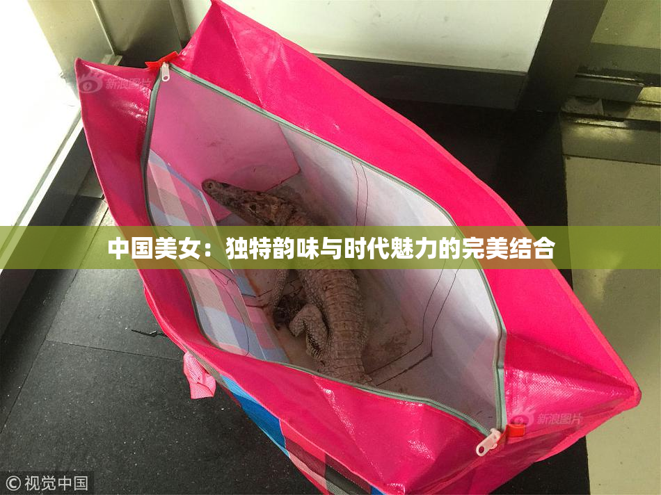 中国美女：独特韵味与时代魅力的完美结合