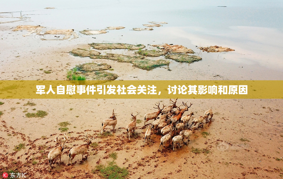军人自慰事件引发社会关注，讨论其影响和原因