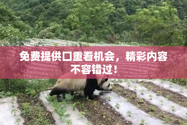 免费提供囗重看机会，精彩内容不容错过！