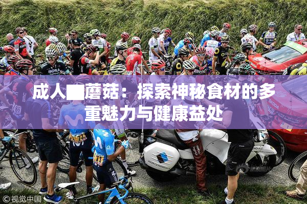 成人▇蘑菇：探索神秘食材的多重魅力与健康益处